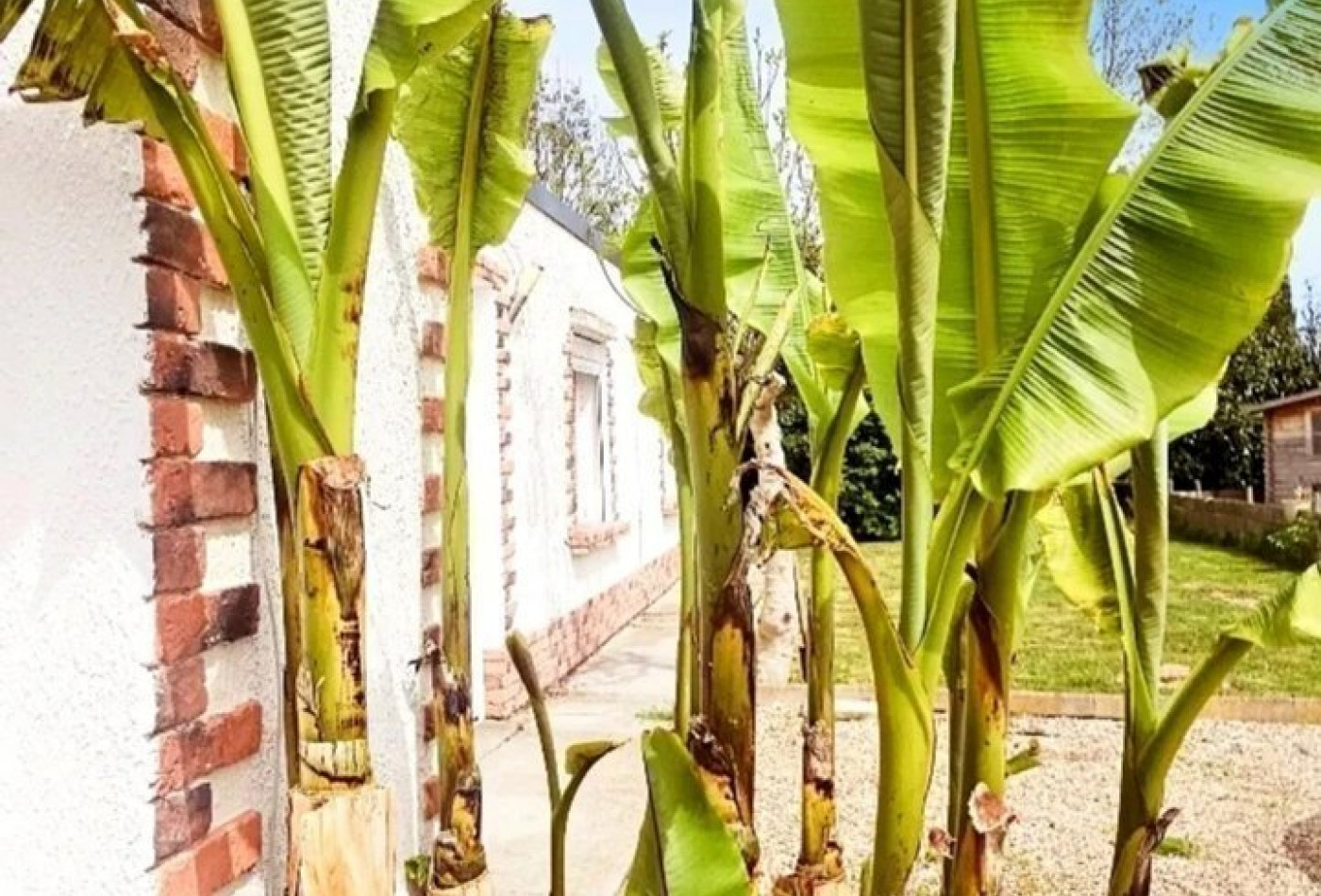 vente Maison Biencourt - Photo 5