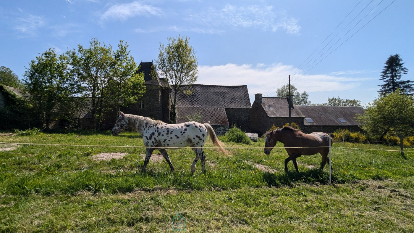 vente Maison et terrain Merleac - Photo 5