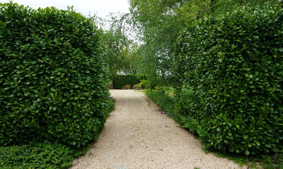 vente Saint Jory De Chalais