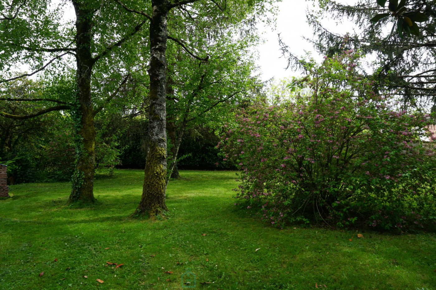 vente Maison de campagne Saint Jory De Chalais - Photo 8