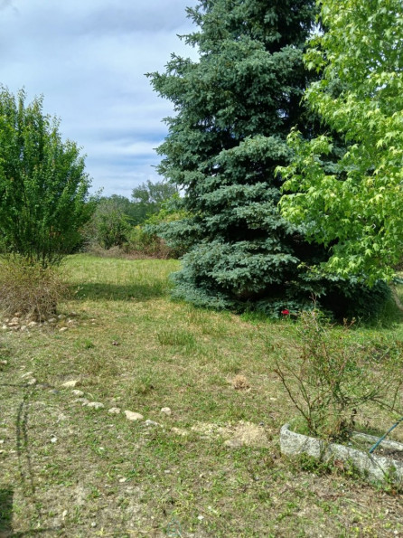 vente Maison de campagne Tocane Saint Apre - Photo 8