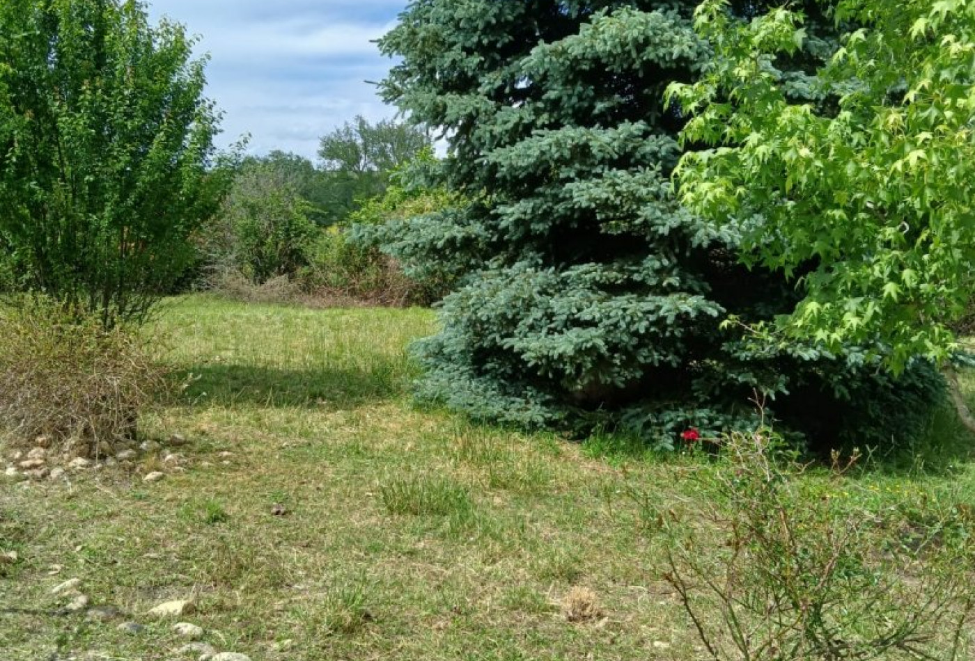 vente Maison de campagne Tocane Saint Apre - Photo 6