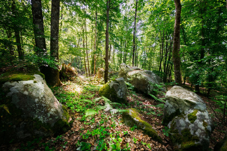 vente Mas Nanteau Sur Lunain - Photo 9