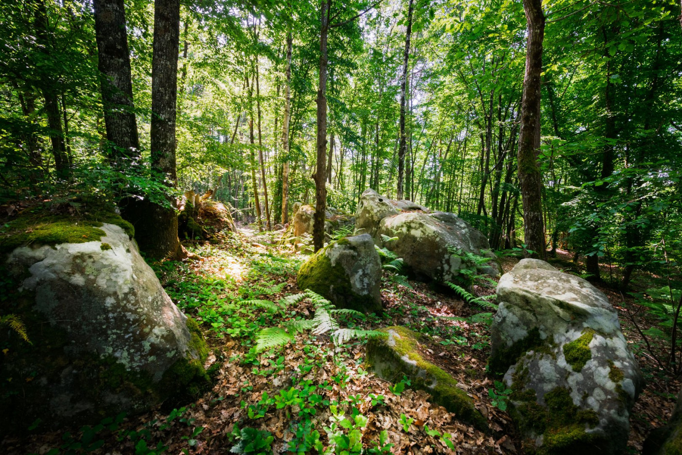 vente Mas Nanteau Sur Lunain - Photo 9