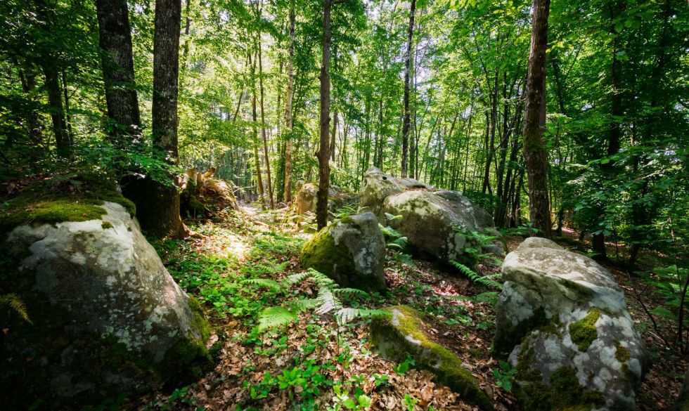 vente Nanteau Sur Lunain