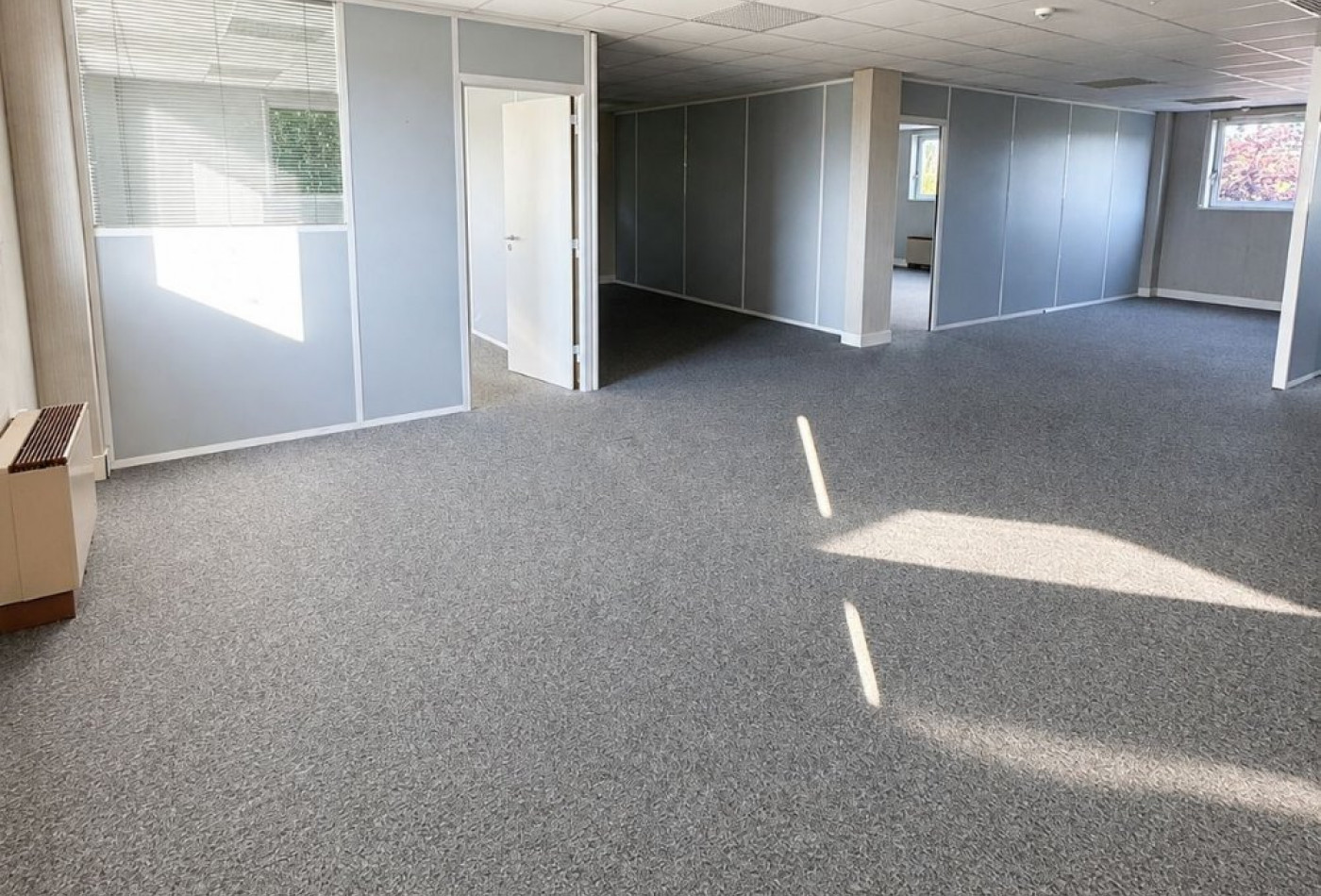 vente Bureau Ferney Voltaire - Photo 2