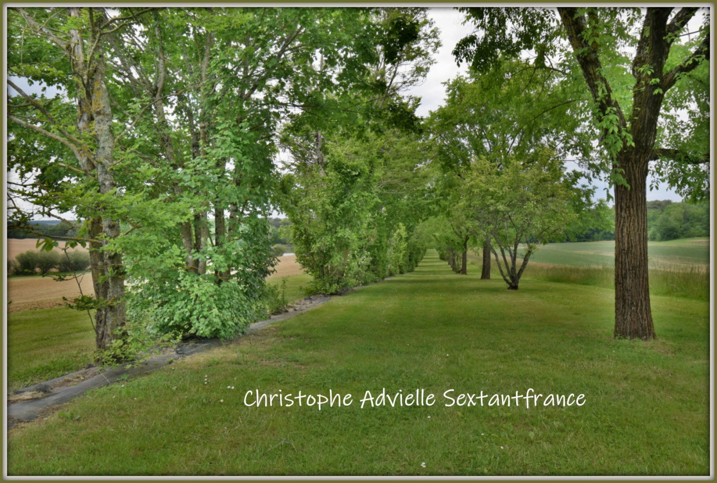 vente Domaine Villereal - Photo 14