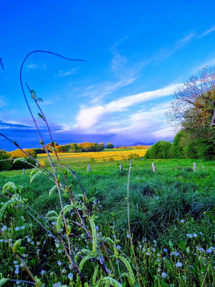 vente Propriété Chamboulive - Photo 3