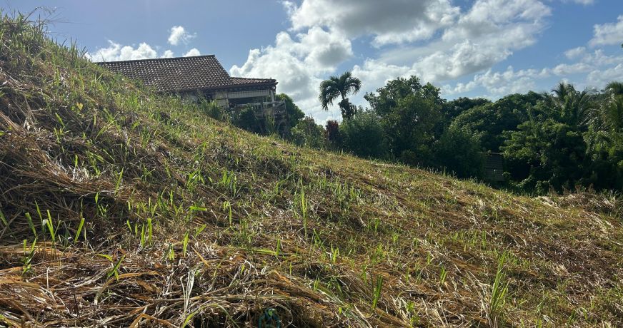 vente Terrain constructible Riviere Salee