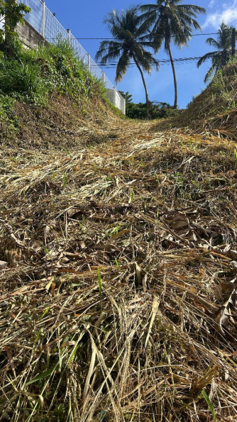 vente Terrain constructible Riviere Salee - Photo 2