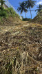 vente Terrain constructible Riviere Salee