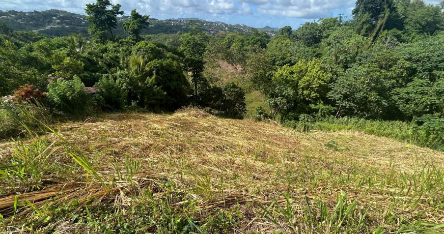 vente Terrain constructible Riviere Salee