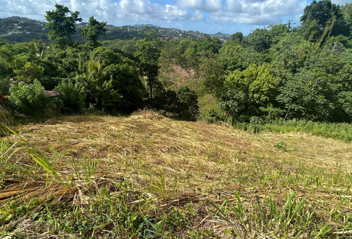 vente Terrain constructible Riviere Salee - Photo 4