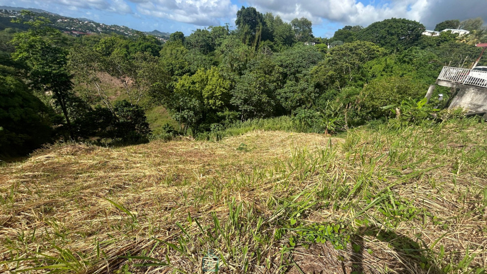 vente Terrain constructible Riviere Salee - Photo 5