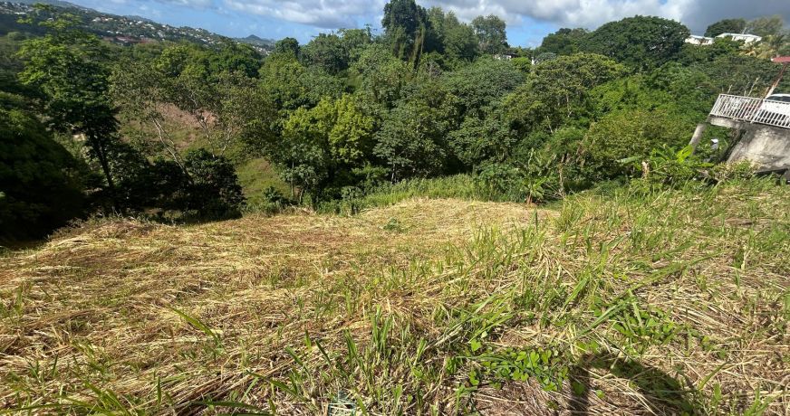 vente Terrain constructible Riviere Salee