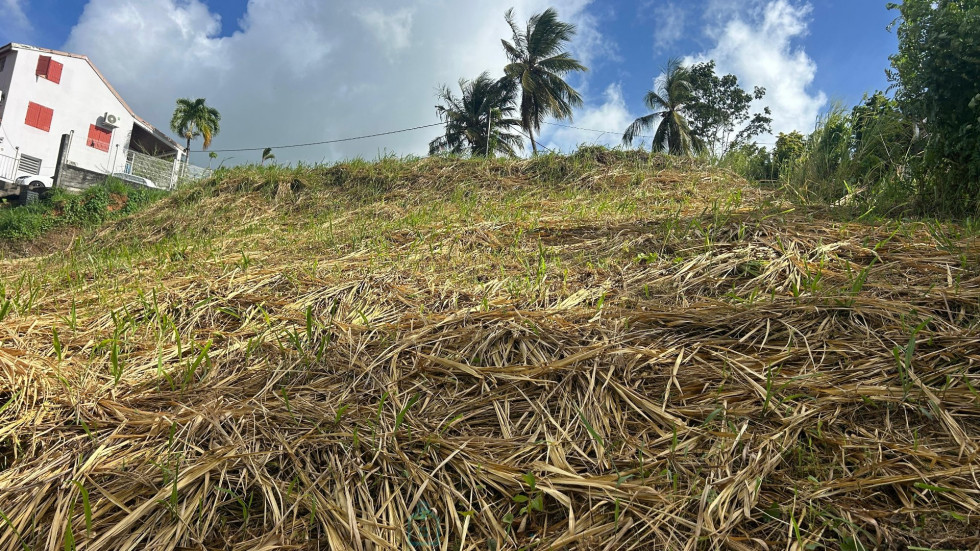vente Terrain constructible Riviere Salee - Photo 6