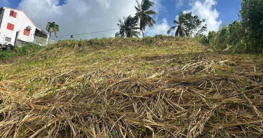 vente Terrain constructible Riviere Salee