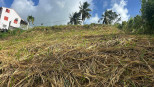 vente Terrain constructible Riviere Salee