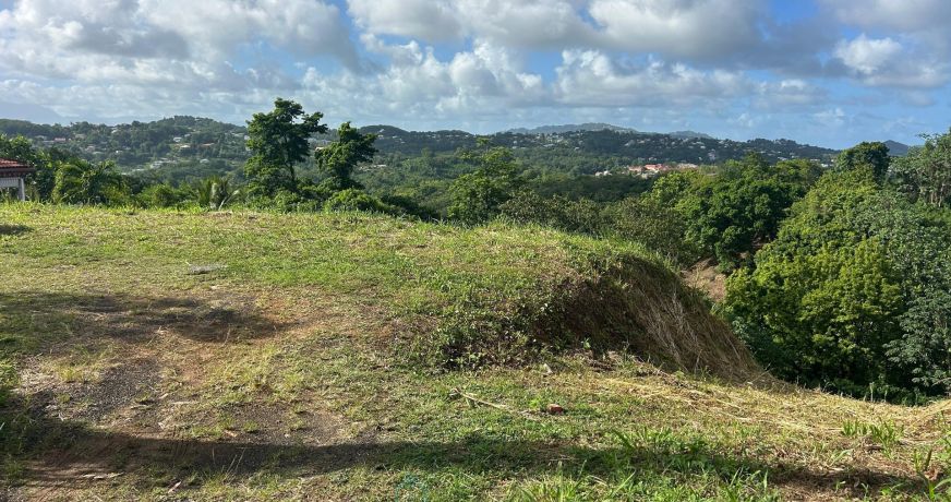 vente Terrain constructible Riviere Salee