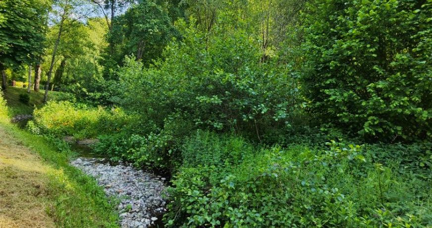 vente Propriété Lisieux