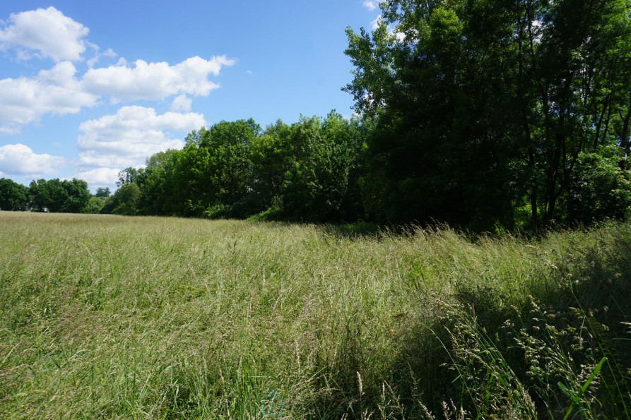 vente Terrain constructible Thiviers - Photo 3