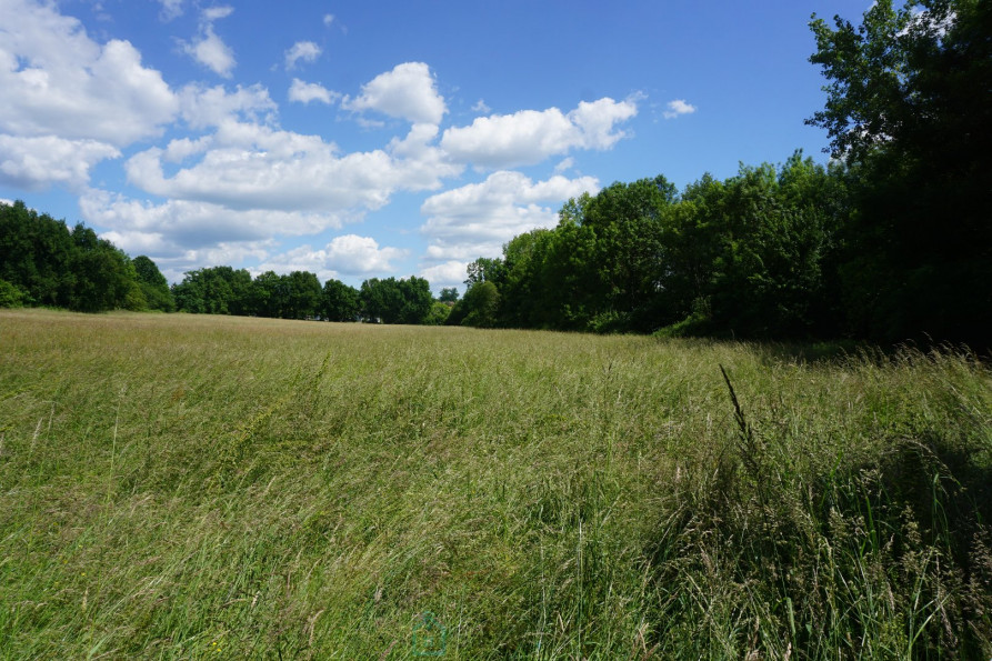 vente Terrain constructible Thiviers - Photo 1