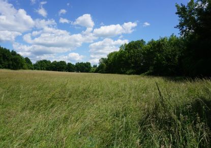 vente Terrain constructible Thiviers