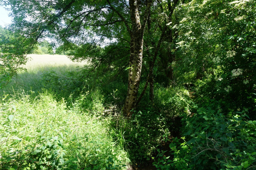 vente Terrain constructible Thiviers - Photo 2