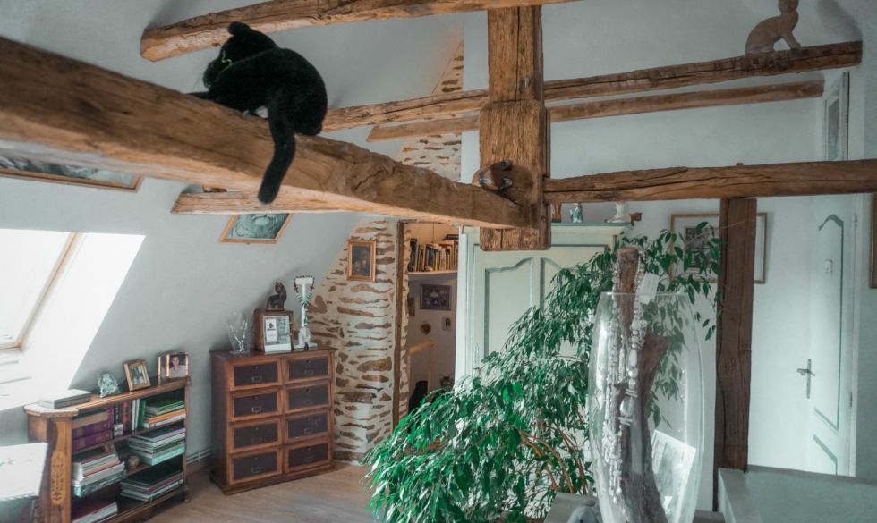 vente  Saint Jory De Chalais