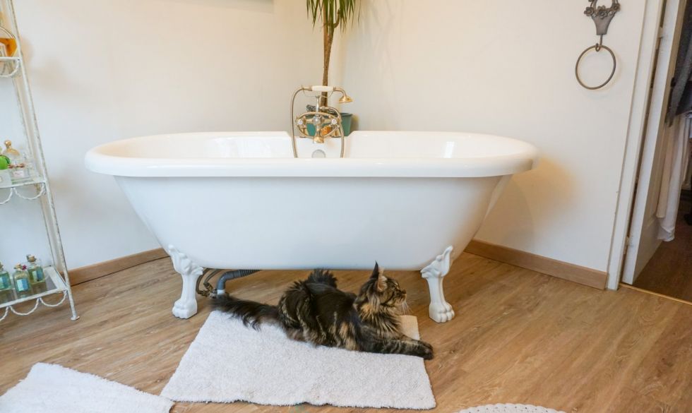 vente  Saint Jory De Chalais