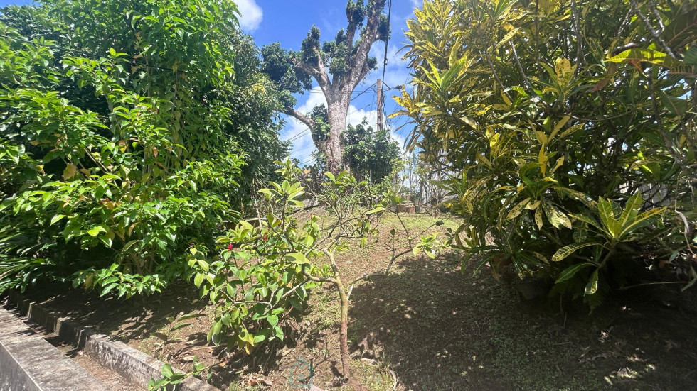 vente Maison individuelle Fort De France - Photo 8