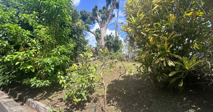 vente Maison individuelle Fort De France