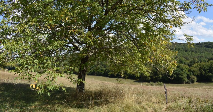 vente Corps de ferme Eyliac