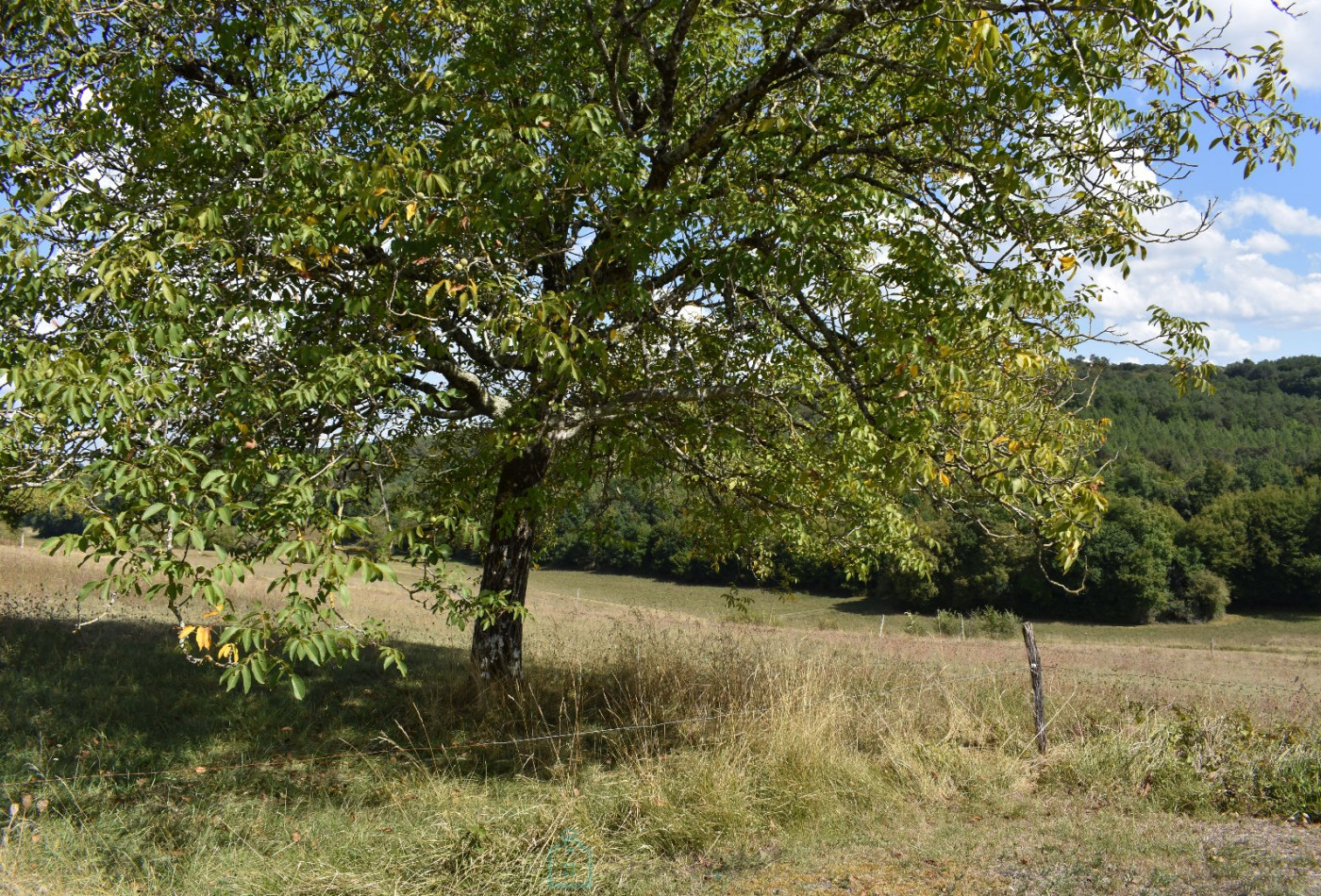 vente Corps de ferme Eyliac - Photo 5