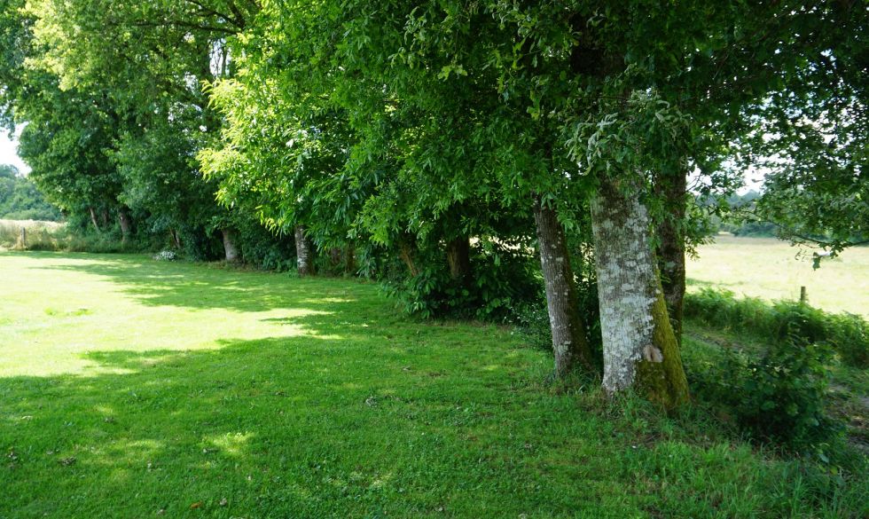 vente  Saint Martin De Fressengeas