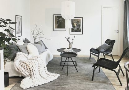 vente Appartement Antibes