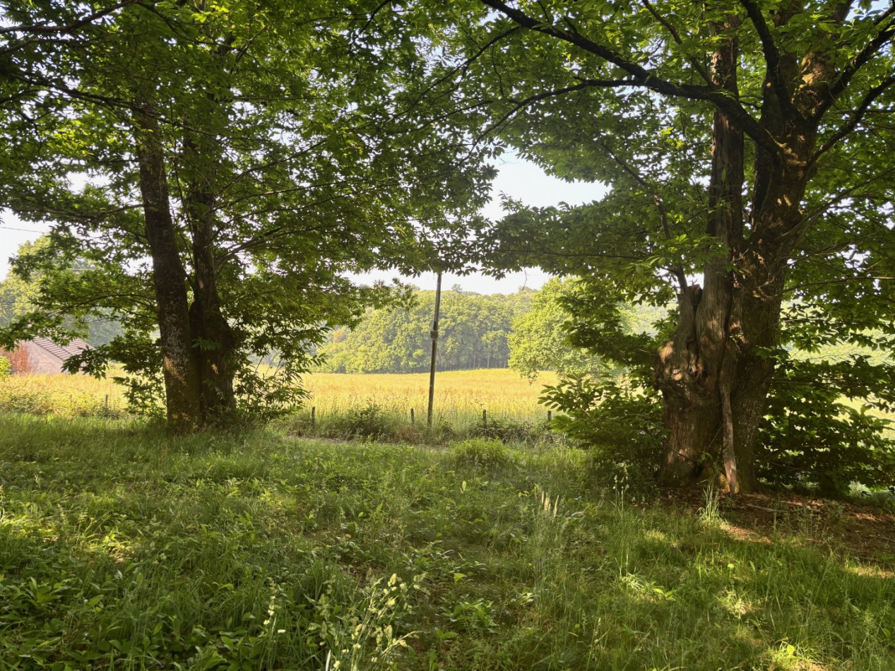 vente Terrain Chamberet - Photo 3