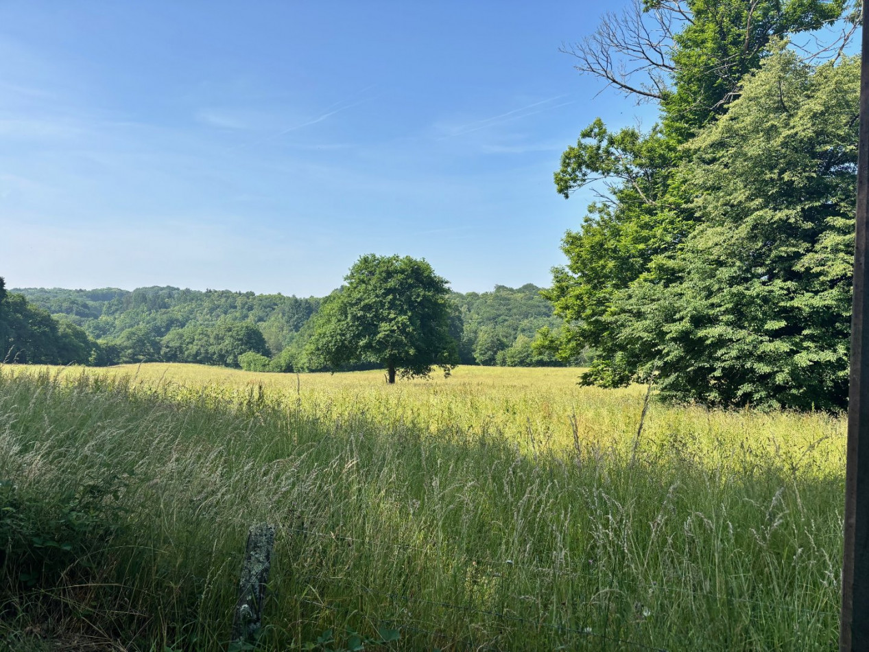 vente Terrain Chamberet - Photo 9