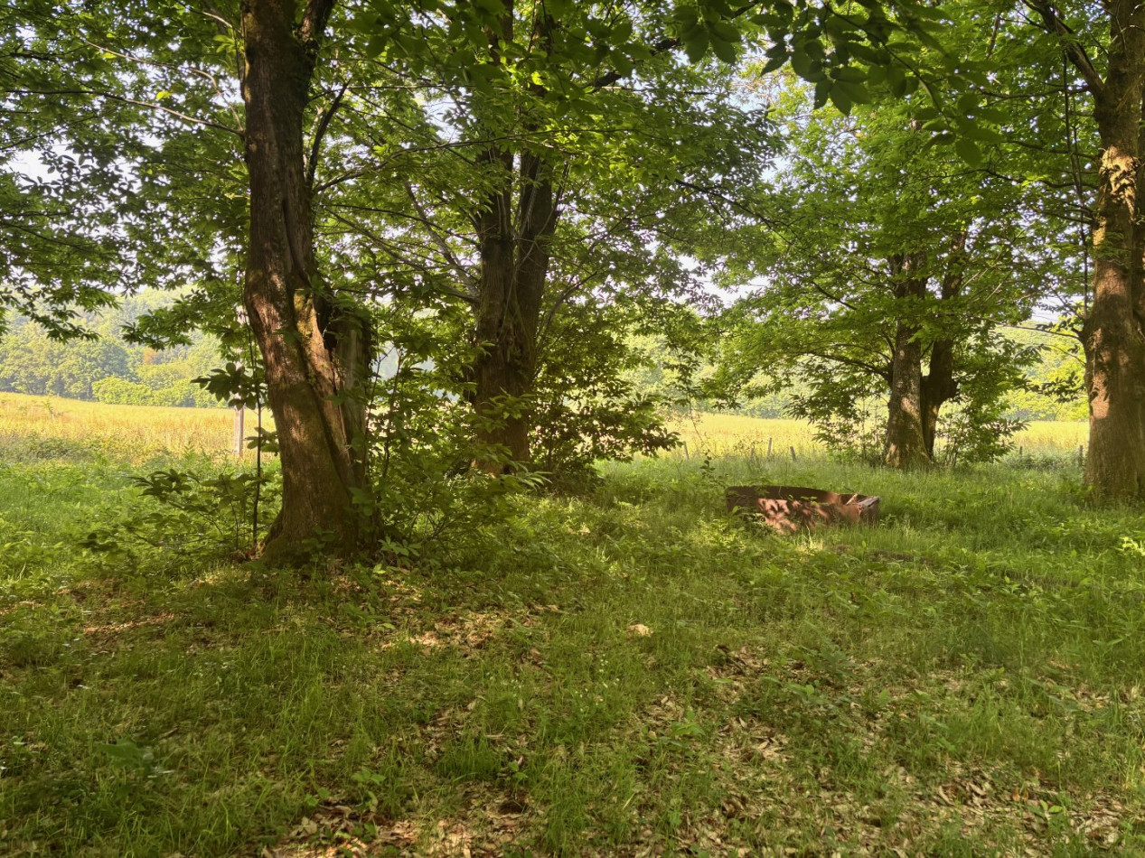 vente Terrain Chamberet - Photo 4