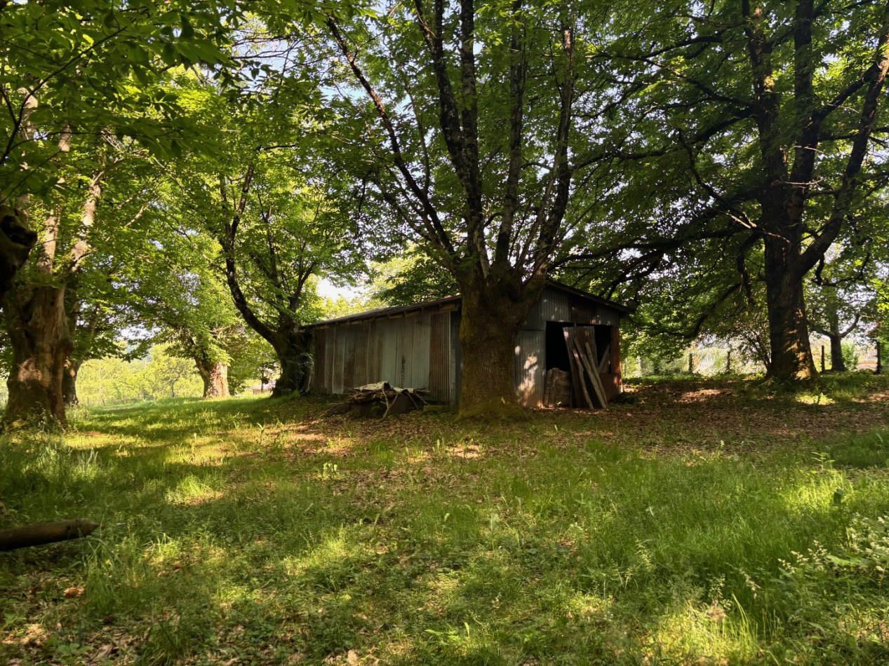 vente Terrain Chamberet - Photo 2