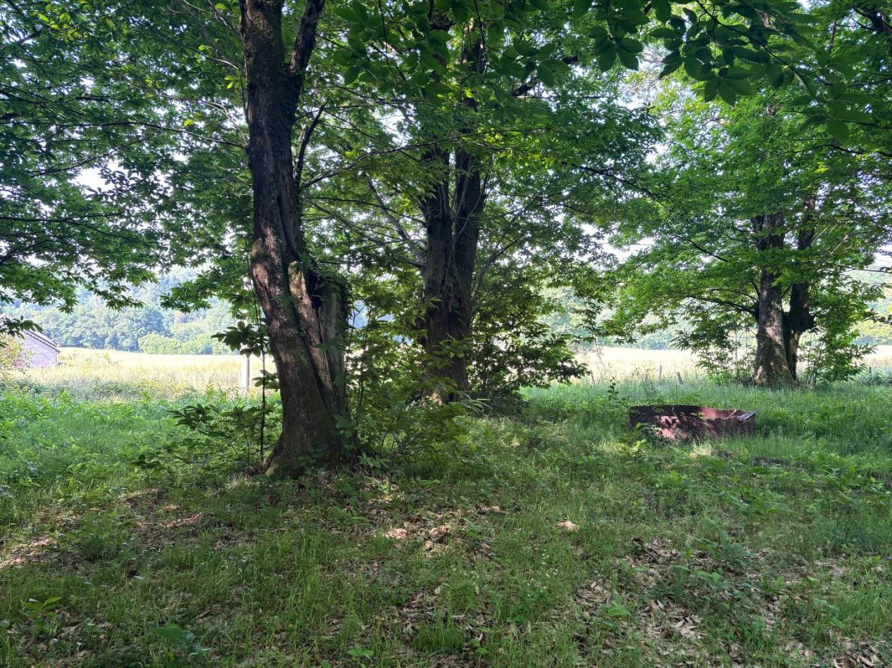 vente Terrain Chamberet - Photo 6