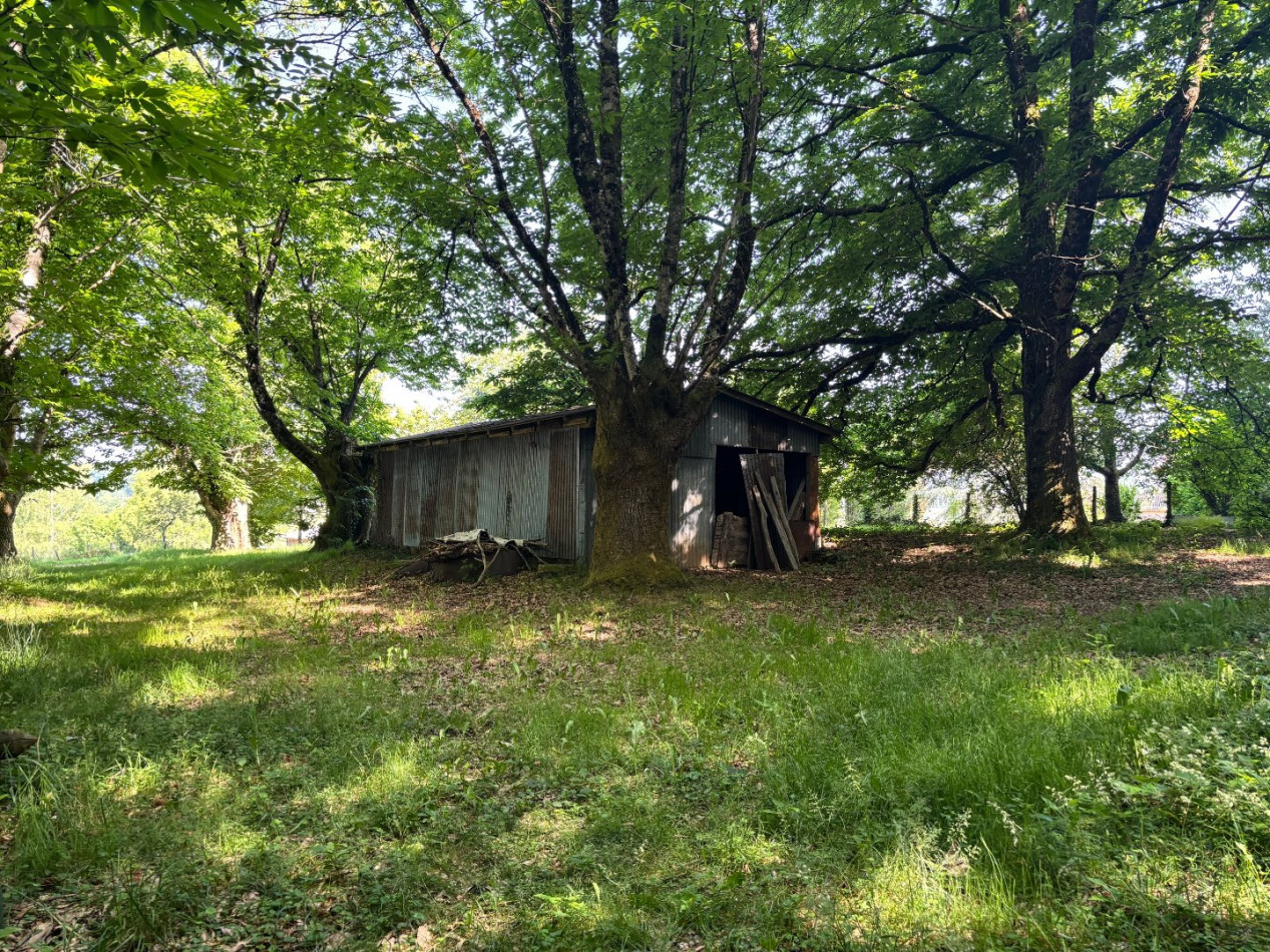 vente Terrain Chamberet - Photo 7