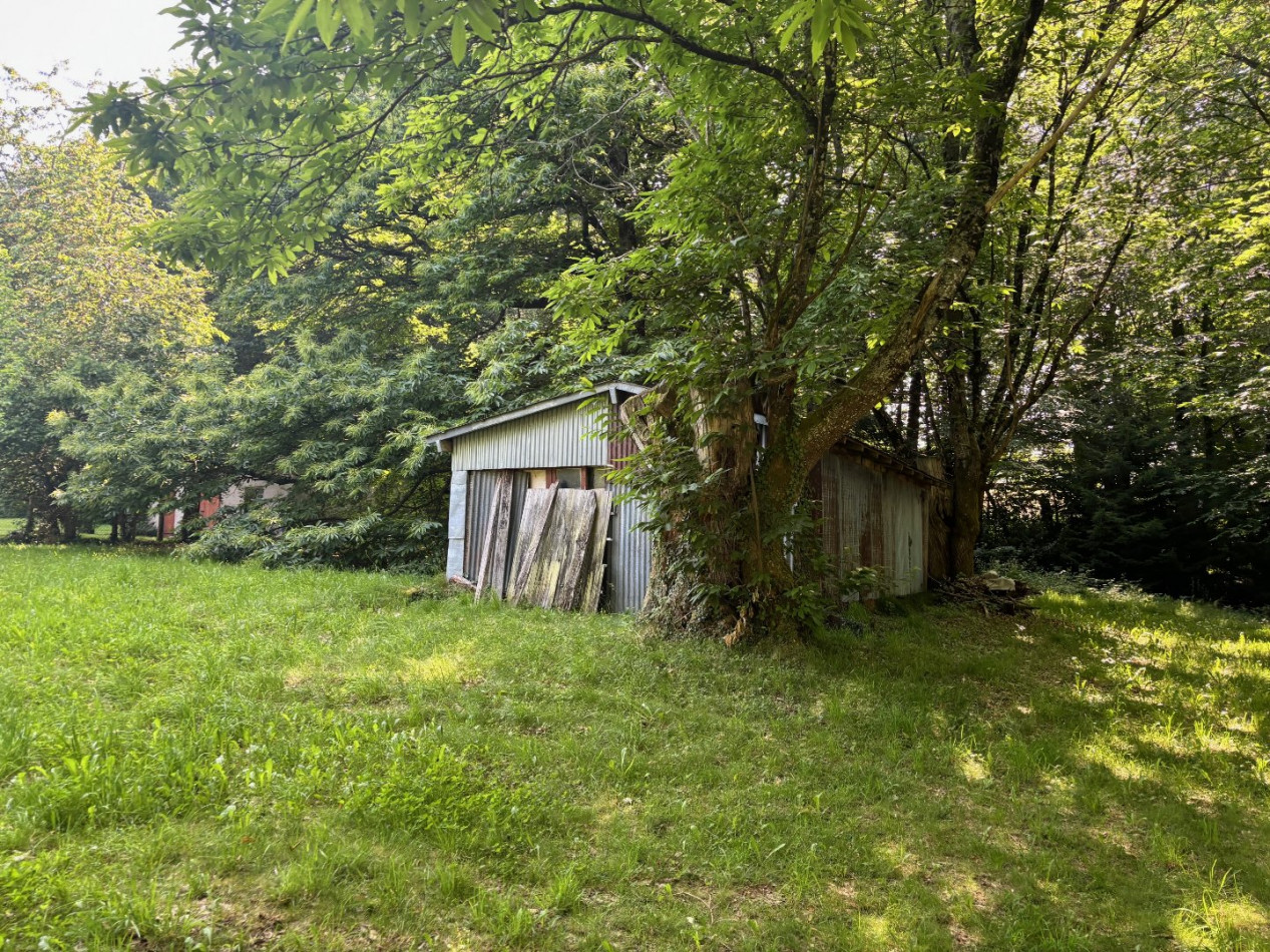 vente Terrain Chamberet - Photo 8