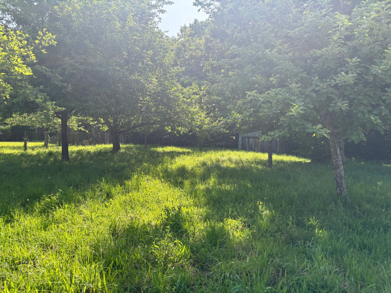 vente Terrain Chamberet - Photo 1