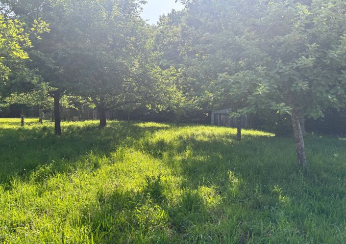 vente Terrain Chamberet