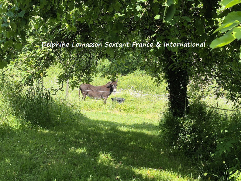 vente Maison de campagne Sainte Foy La Grande - Photo 10