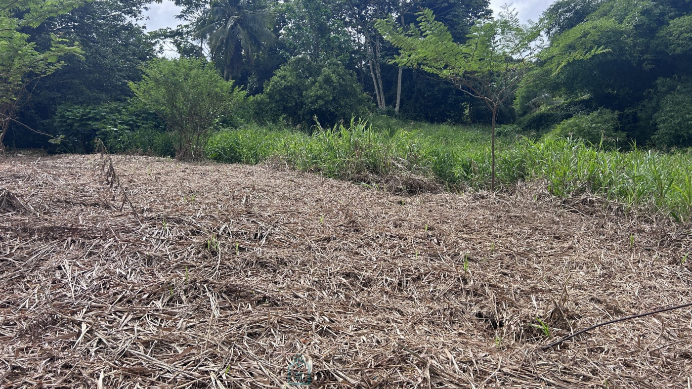 vente Terrain constructible Le Lamentin - Photo 1