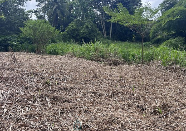 vente Terrain constructible Le Lamentin