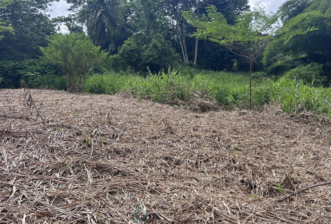 vente Terrain constructible Le Lamentin - Photo 1