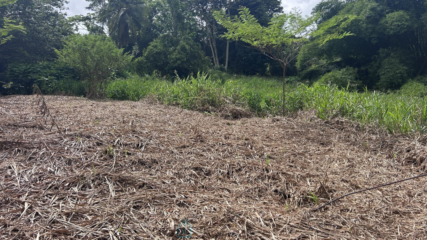 vente Terrain constructible Le Lamentin - Photo 2